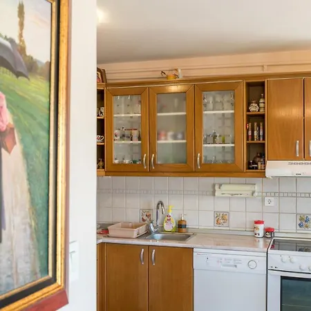 6 & Free Parking Apartment Vrnjacka Banja